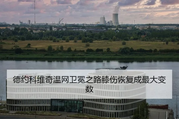 de-yue-ke-wei-qi-wen-wang-wei-mian-zhi-lu-xi-shang-hui-fu-cheng-zui-da-bian-shu-2-450.jpg