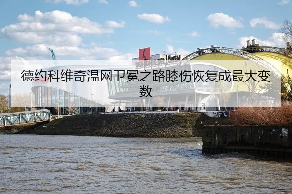 de-yue-ke-wei-qi-wen-wang-wei-mian-zhi-lu-xi-shang-hui-fu-cheng-zui-da-bian-shu-3-789.jpg