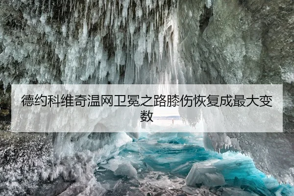 德约科维奇温网卫冕之路膝伤恢复成最大变数