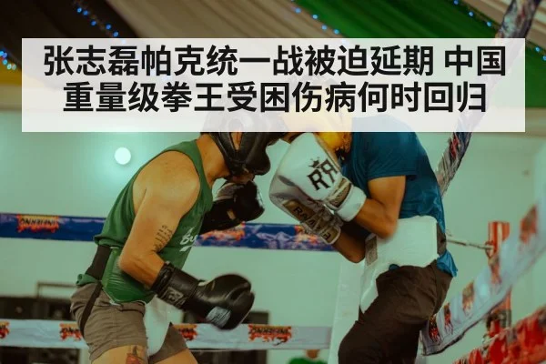 张志磊帕克统一战被迫延期 中国重量级拳王受困伤病何时回归